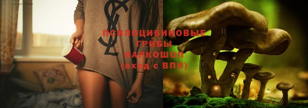 прущая мука Кинешма