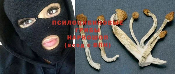прущие грибы Киренск