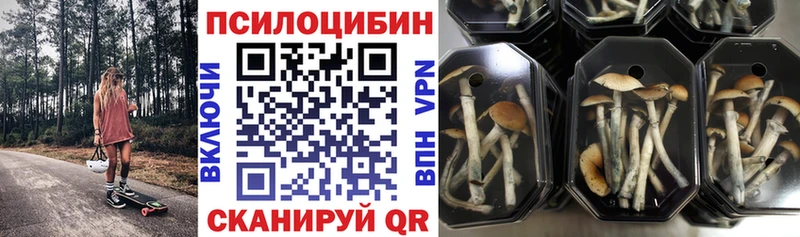 Галлюциногенные грибы MAGIC MUSHROOMS  Купить  Чудово 